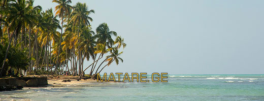 დომინიკის რესპუბლიკის პლაჟი პალმებით — ავიაბილეთები საქართველოდან კარიბის ზღვის სანაპიროზე