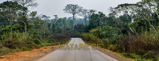 ტროპიკული ტყით გარშემორტყმული გზა კამერუნში