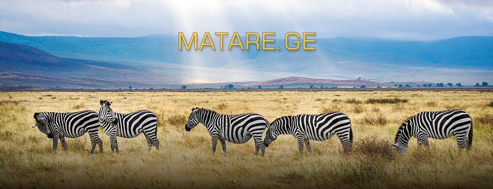 ტანზანიის მიმართულება — ავიაბილეთები აღმოსავლეთ აფრიკაში | matare.ge
